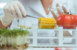 Doanh nghiệp thực phẩm phải nắm bắt được xu hướng và công nghệ mới
