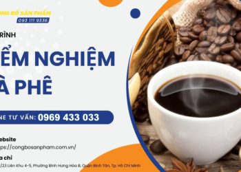 Quy trình kiểm nghiệm cà phê nhanh chóng năm 2025