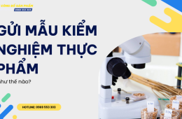 Gửi mẫu kiểm nghiệm thực phẩm như thế nào?
