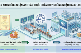 Nên xin chứng nhận an toàn thực phẩm hay chứng nhận HACCP, ISO?