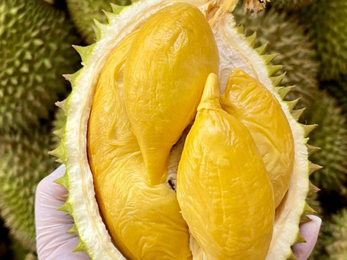 Ăn sầu riêng có mập không? Trong sầu riêng có bao nhiêu calo