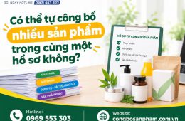 Có thể tự công bố nhiều sản phẩm trong cùng một hồ sơ không?